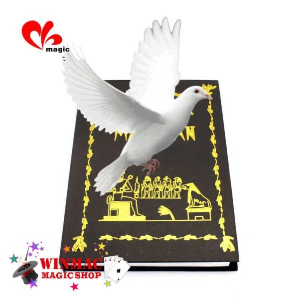 Magic Dove Book | Appearing dove from book