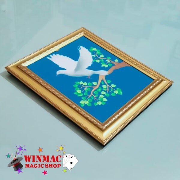dove Frame picture to real dove