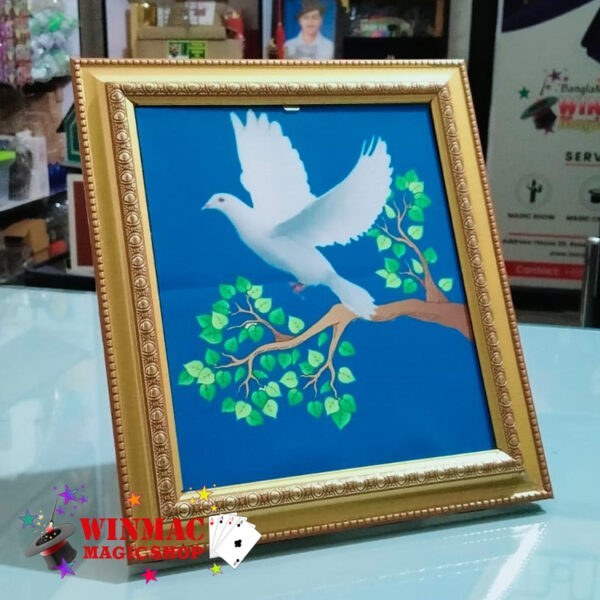 dove Frame picture to real dove