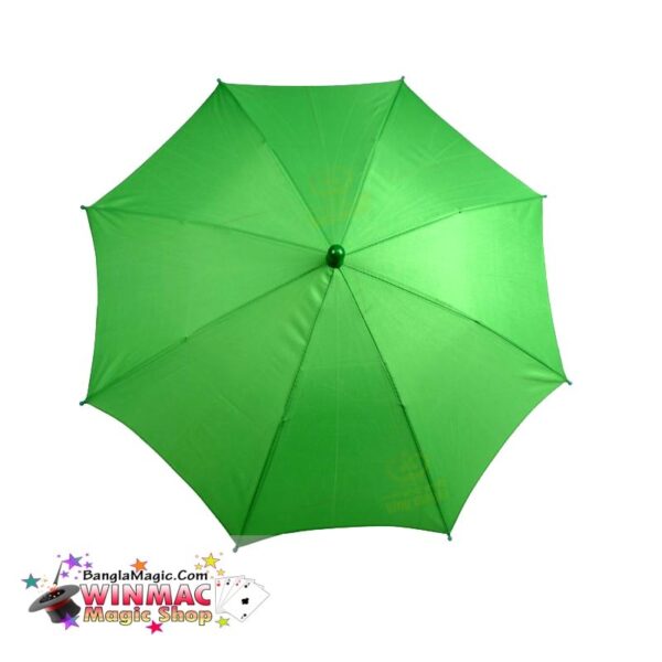 Green Umbrella Medium