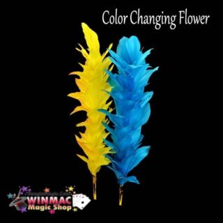 Color Changing feather Flower