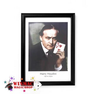 Harry Houdini magic prediction frame showing selected playing card in portrait