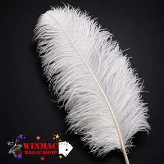 magic ostrich feather