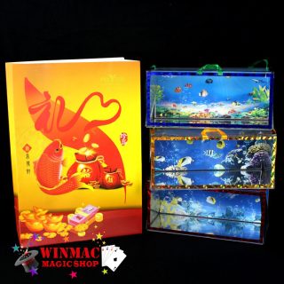 Appearing Crystal Boxes Magic Tricks stage magic prop BanglaMagic